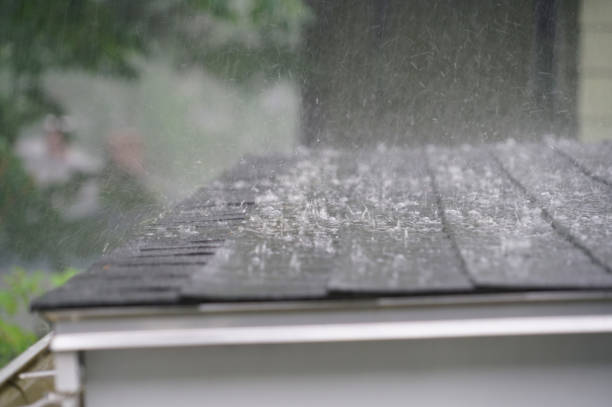 Best Roof Ventilation Installation  in Bear Valley Springs, CA